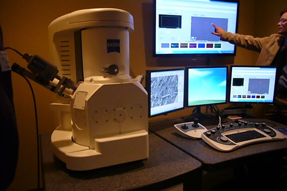 SEM equipped with EDX detector